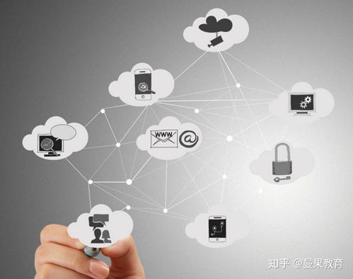 2020年淘寶賣家運營規(guī)劃與信息安全軟件開發(fā)策略